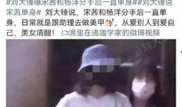 刘大锤爆料真不真实视频,真相还是炒作？